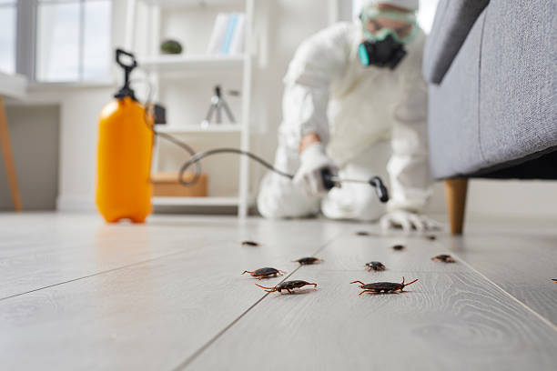 Commercial Kitchen Cockroach Control in Waupun